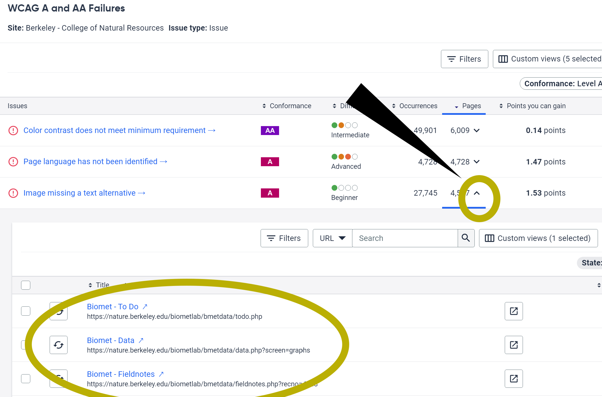 The dropdown button in the Pages column lets you review all the pages with an issue type.